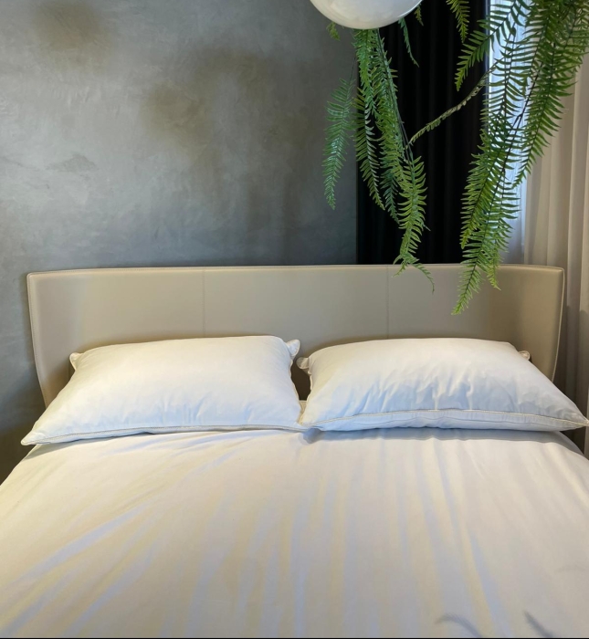 מידה דגם אייס - 