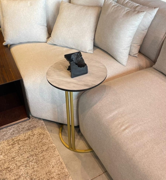 נשכן דגם גולד - 