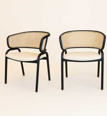 כיסא אוכל דגם לביא