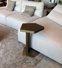 נשכן צד דגם מטאל - 