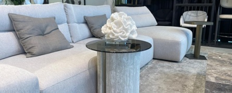 שולחנות צד ונשכנים